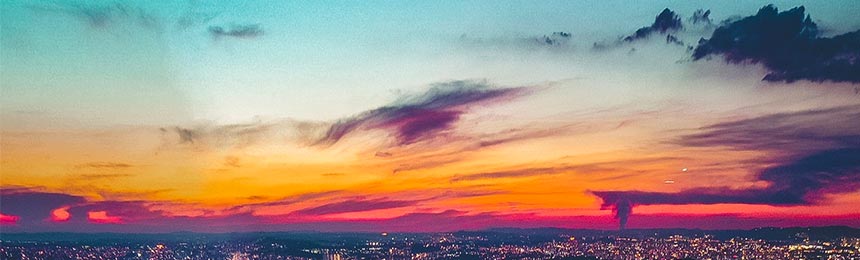 新泰茶虫网_新泰品茶